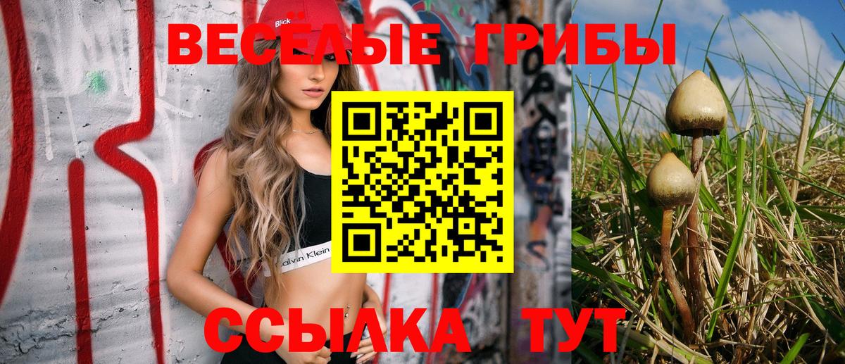 Нягань  магазин    Вход с VPN  Псилоцибиновые грибы MAGIC MUSHROOMS 