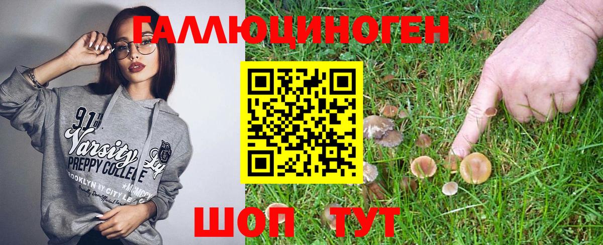 Псилоцибиновые грибы ЛСД Нягань